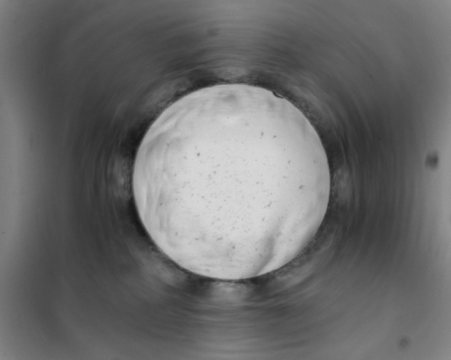 X0000101410234200808041112