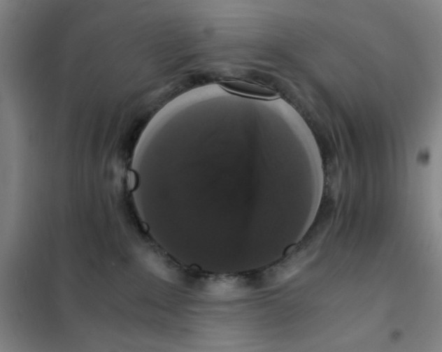 X0000101410235200808041112