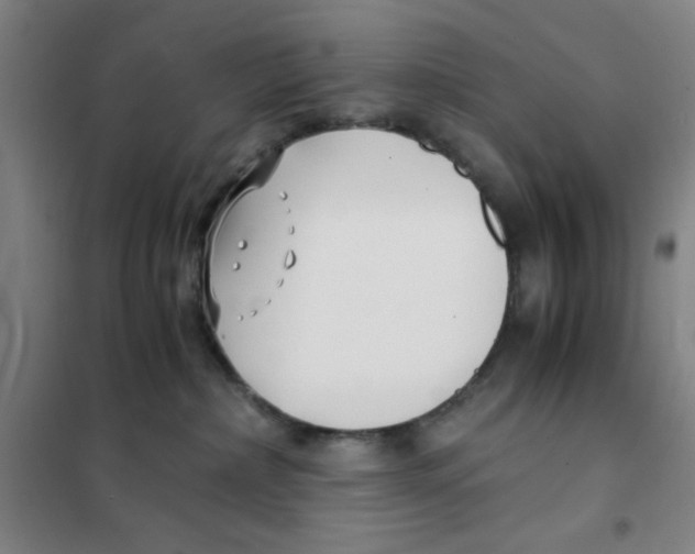 X0000101410236200808041112