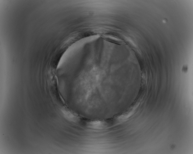 X0000101410237200808041112