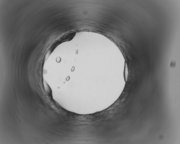 X0000101410241200808041111