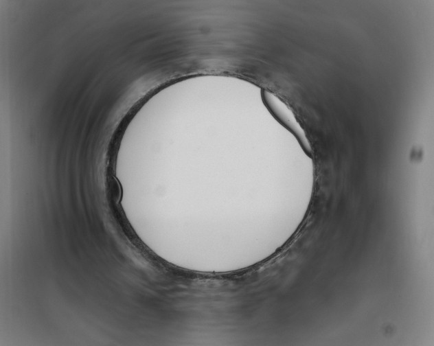 X0000101410242200808041111