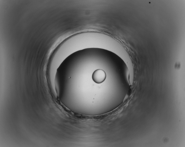 X0000101410244200808041111