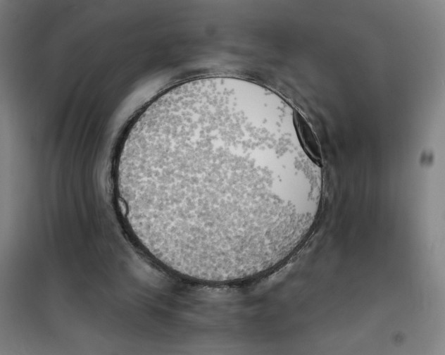 X0000101410245200808041111