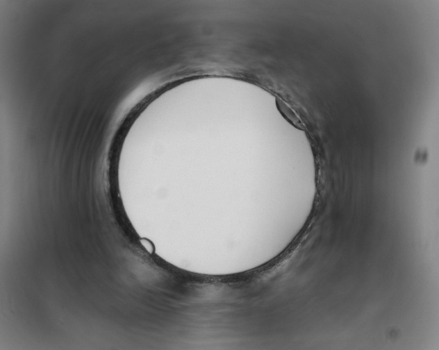 X0000101410246200808041111