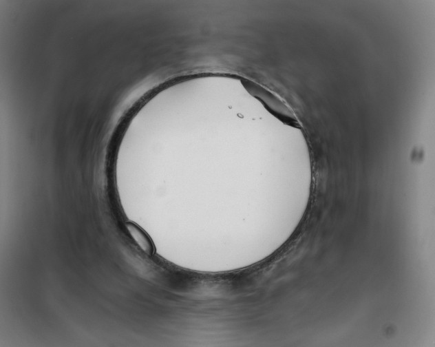 X0000101410248200808041111
