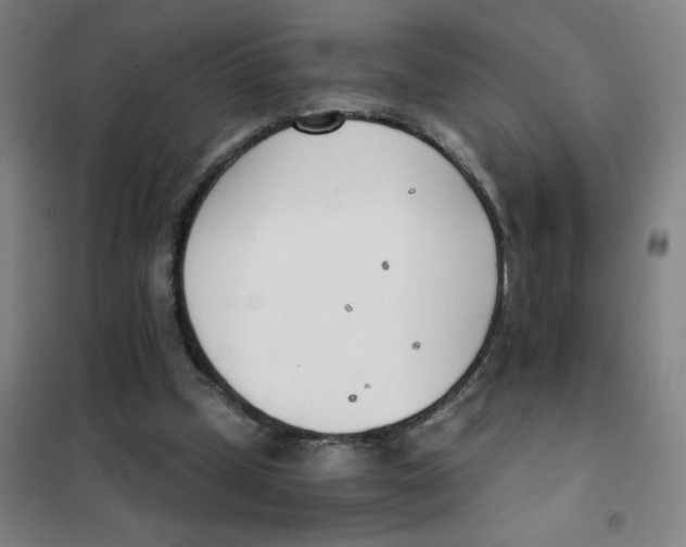 X0000101410249200808041111