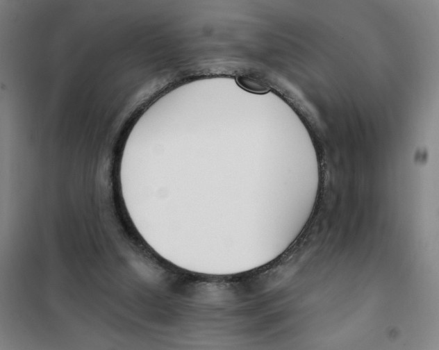 X0000101410250200808041111