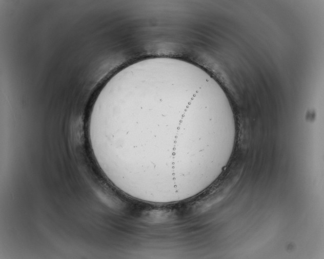 X0000101410251200808041111