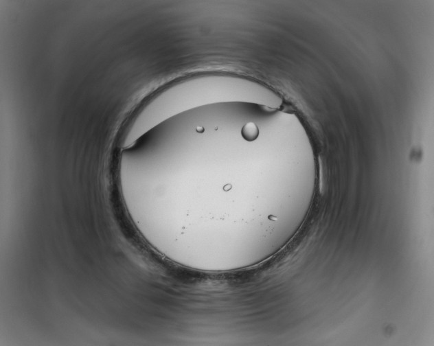 X0000101410252200808041111