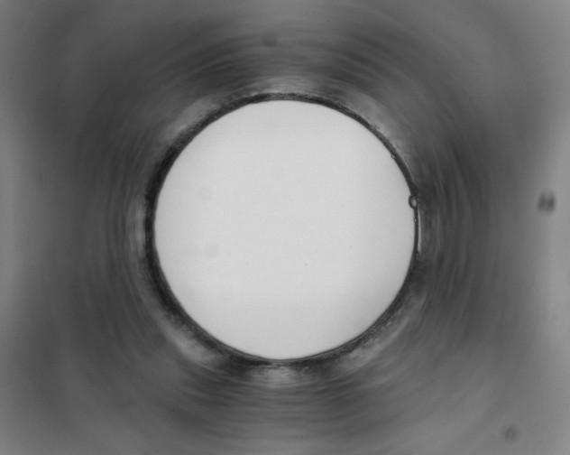 X0000101410253200808041111