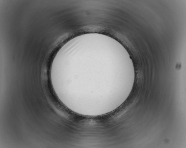 X0000101410254200808041111