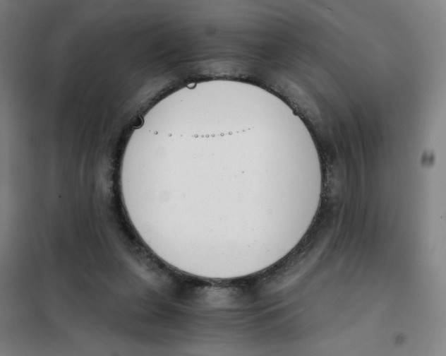 X0000101410255200808041111