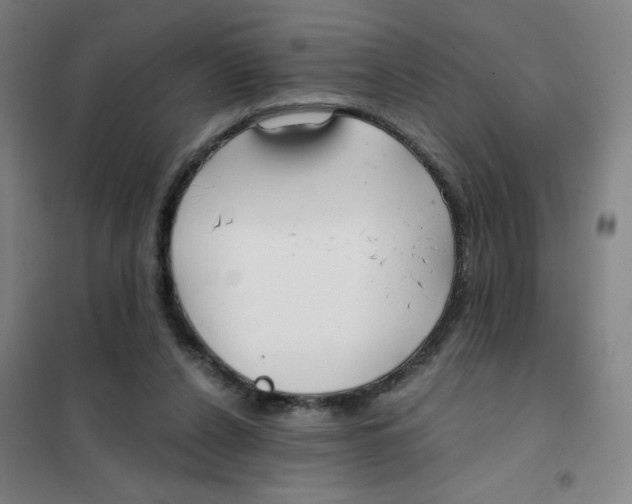 X0000101410256200808041111