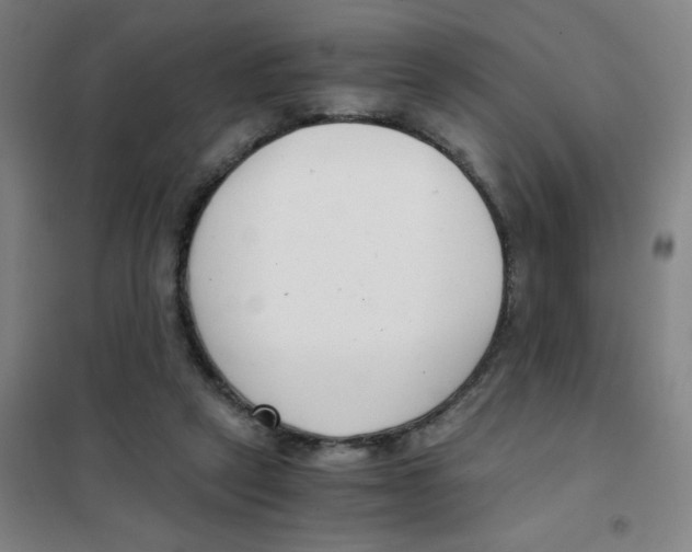 X0000101410257200808041111