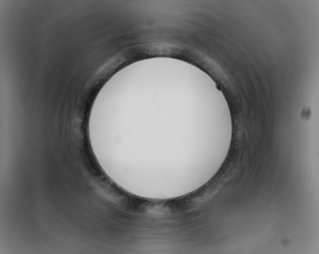 X0000101410258200808041111