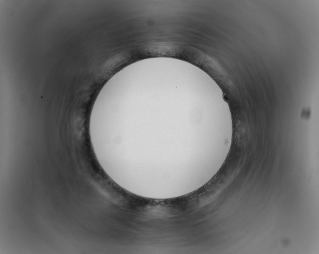 X0000101410259200808041111
