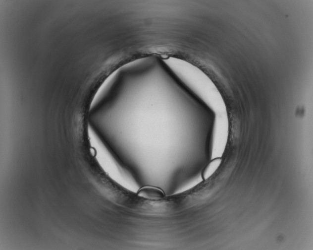 X0000101410260200808041111