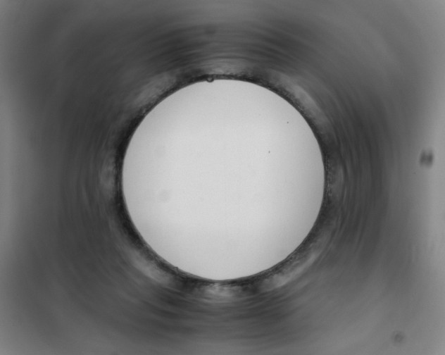 X0000101410261200808041111