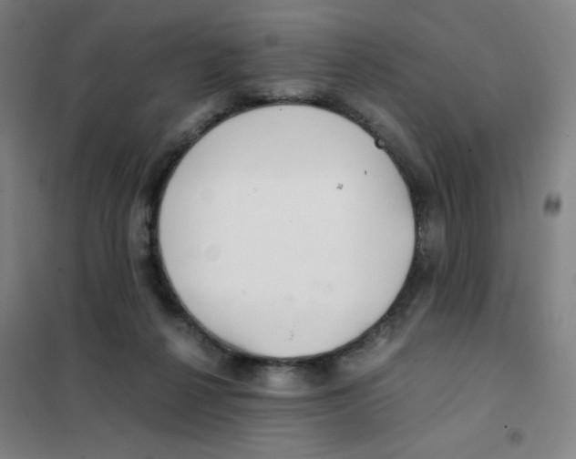 X0000101410264200808041111