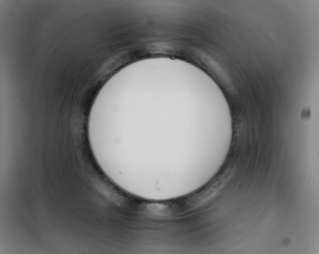 X0000101410265200808041111