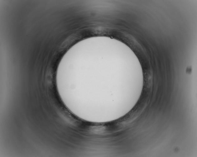 X0000101410266200808041111