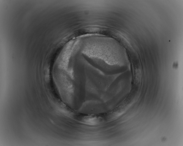 X0000101410267200808041111