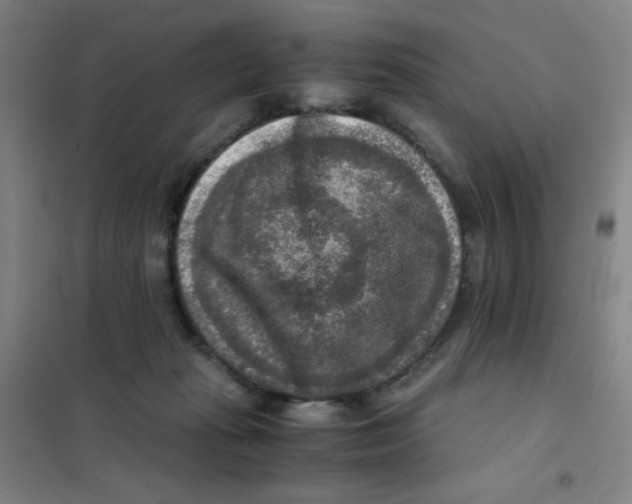 X0000101410269200808041111