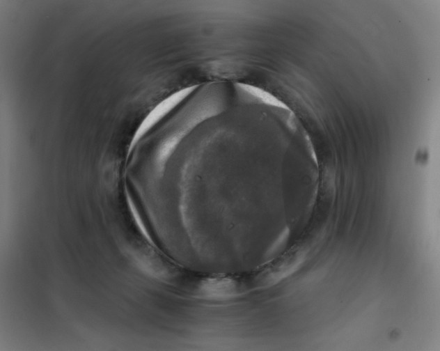 X0000101410271200808041111