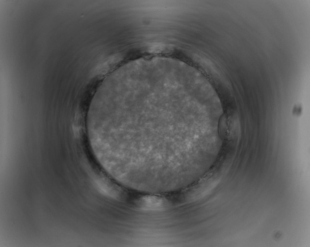 X0000101410272200808041111