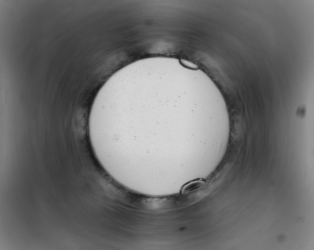 X0000101410273200808041111
