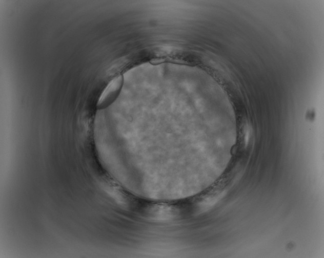 X0000101410276200808041111