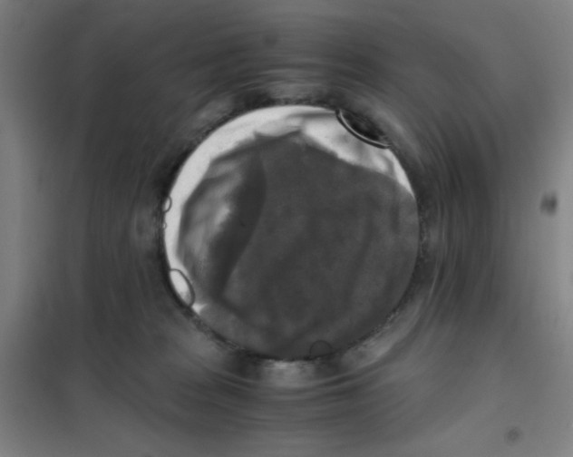 X0000101410277200808041111