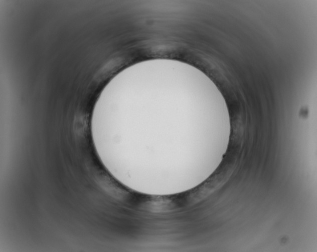 X0000101410278200808041111