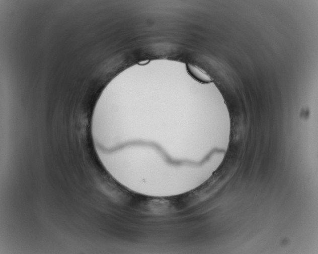 X0000101410279200808041111