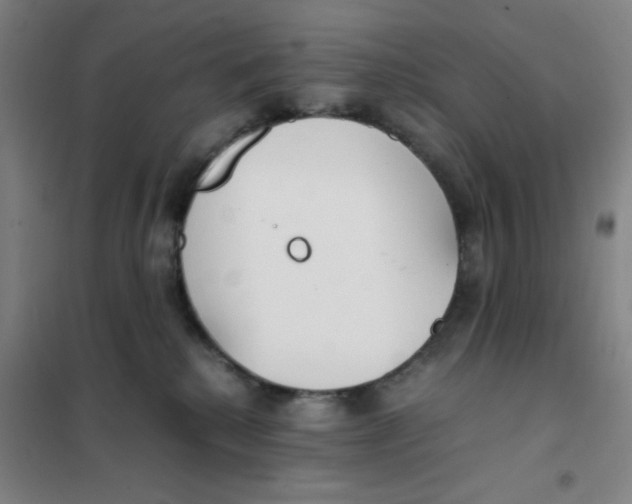 X0000101410280200808041111