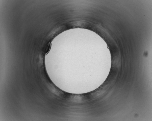 X0000101410282200808041111