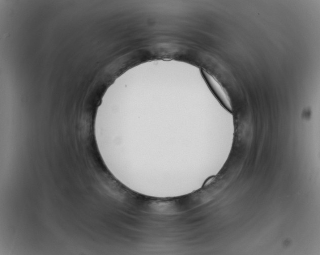 X0000101410283200808041111