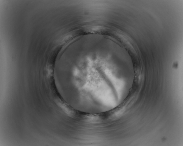 X0000101410284200808041111