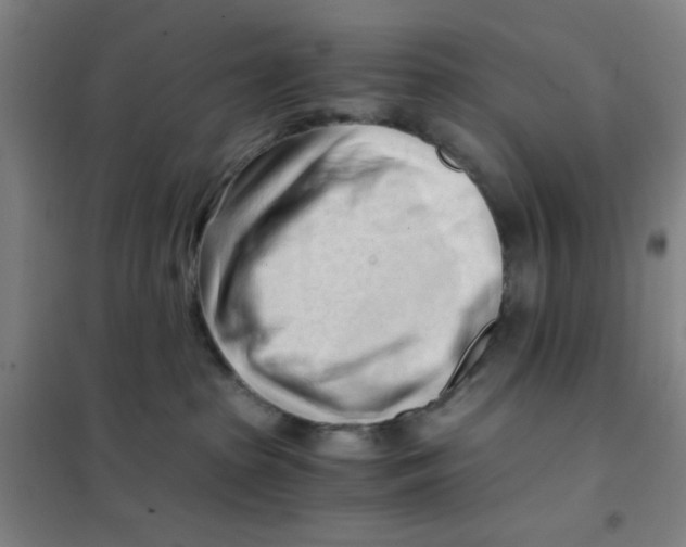 X0000101410285200808041111