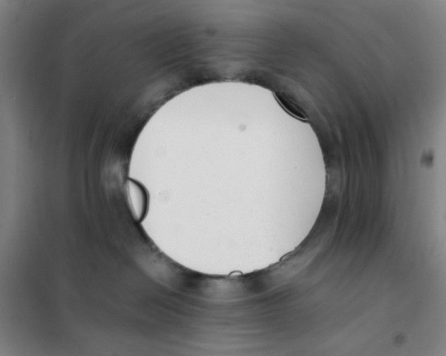 X0000101410286200808041111