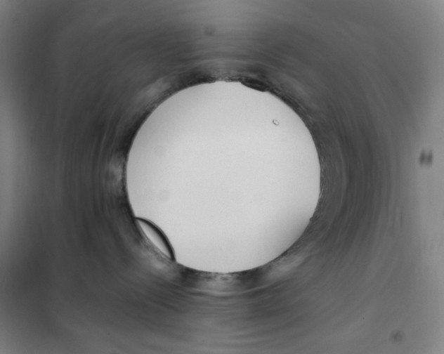 X0000101410288200808041111