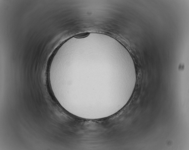 X0000101410290200808041111