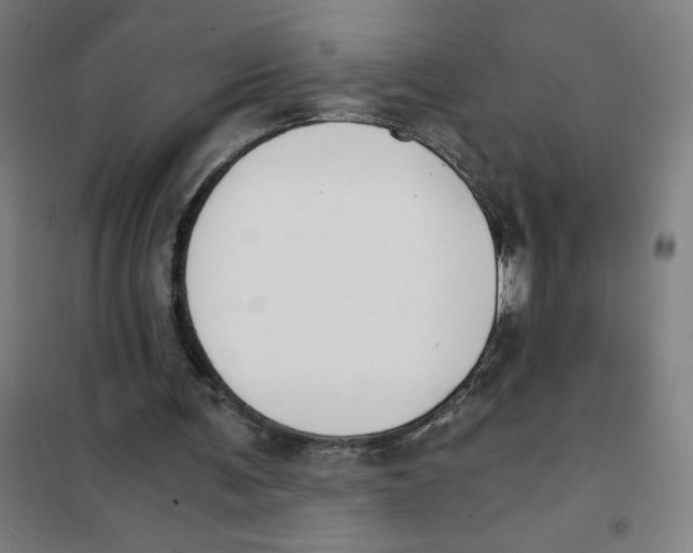 X0000101410291200808041111