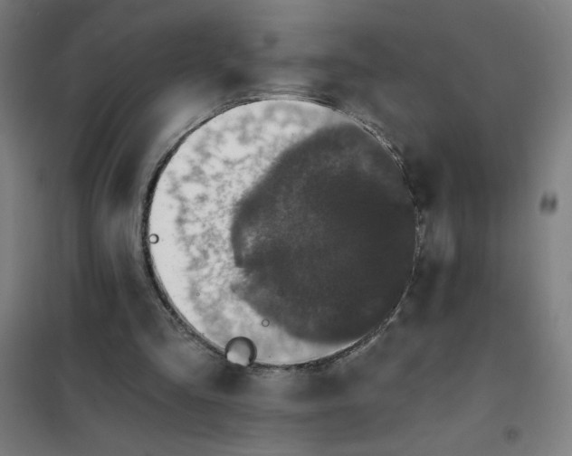 X0000101410293200808041111
