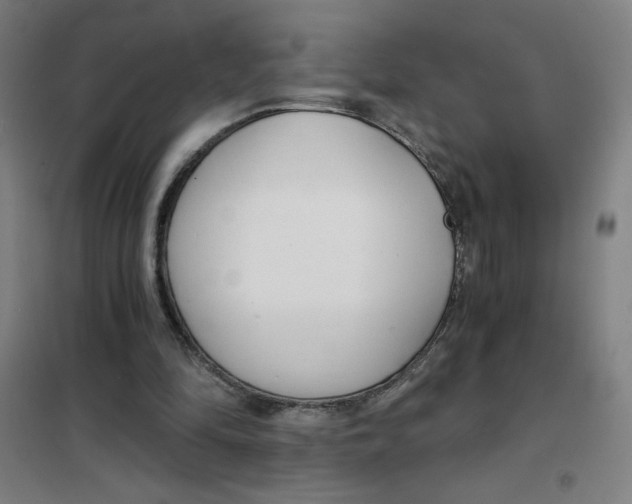 X0000101410294200808041111