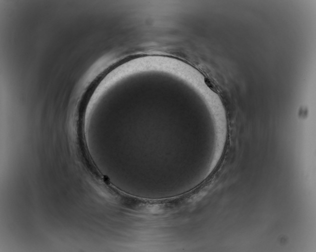 X0000101410295200808041111