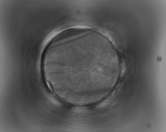 X0000101410296200808041111