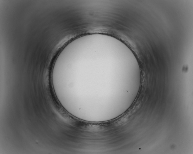 X0000101410298200808041111