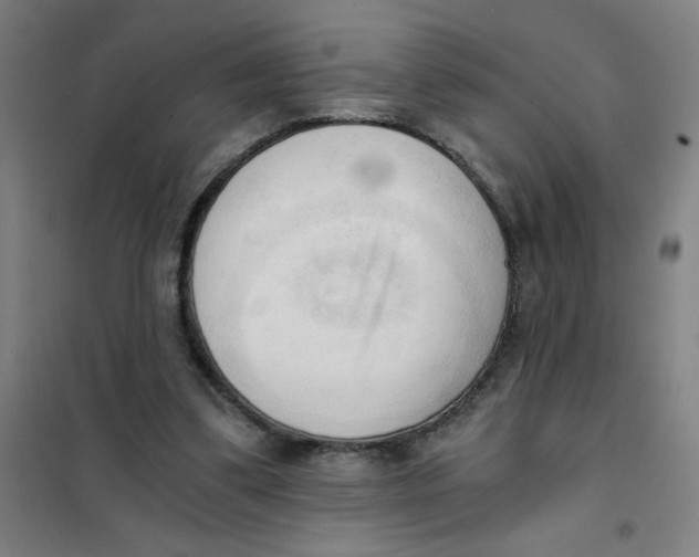 X0000101410299200808041111